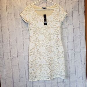 TIANA B. Lace Short-sleeve Sheath Dress Medium
